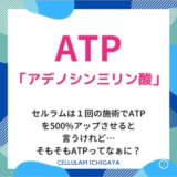 ATPってなぁに？