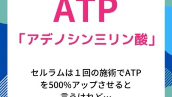 ATPってなぁに？