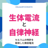 生体電流と自律神経を噛み砕いてご説明します